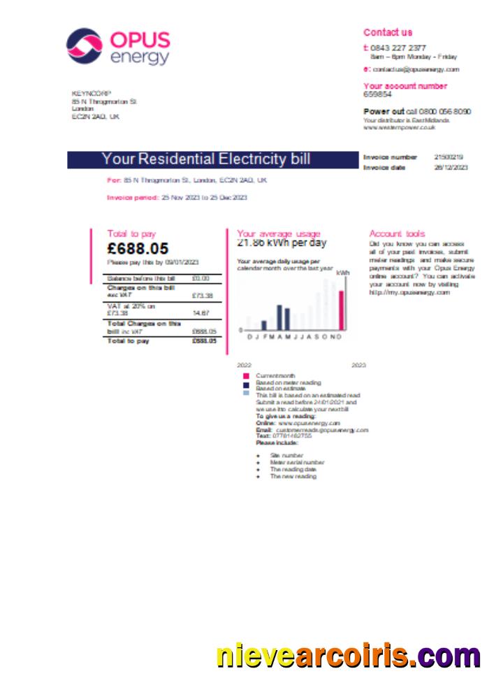 Opus Energy electricity utility business bill, page 1